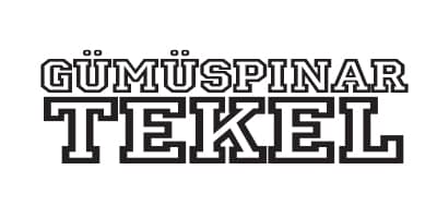 Kartal Gümüşpınar Express Tekel